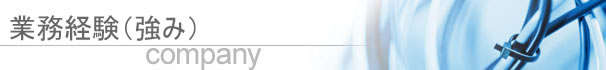 業務経験(強み)